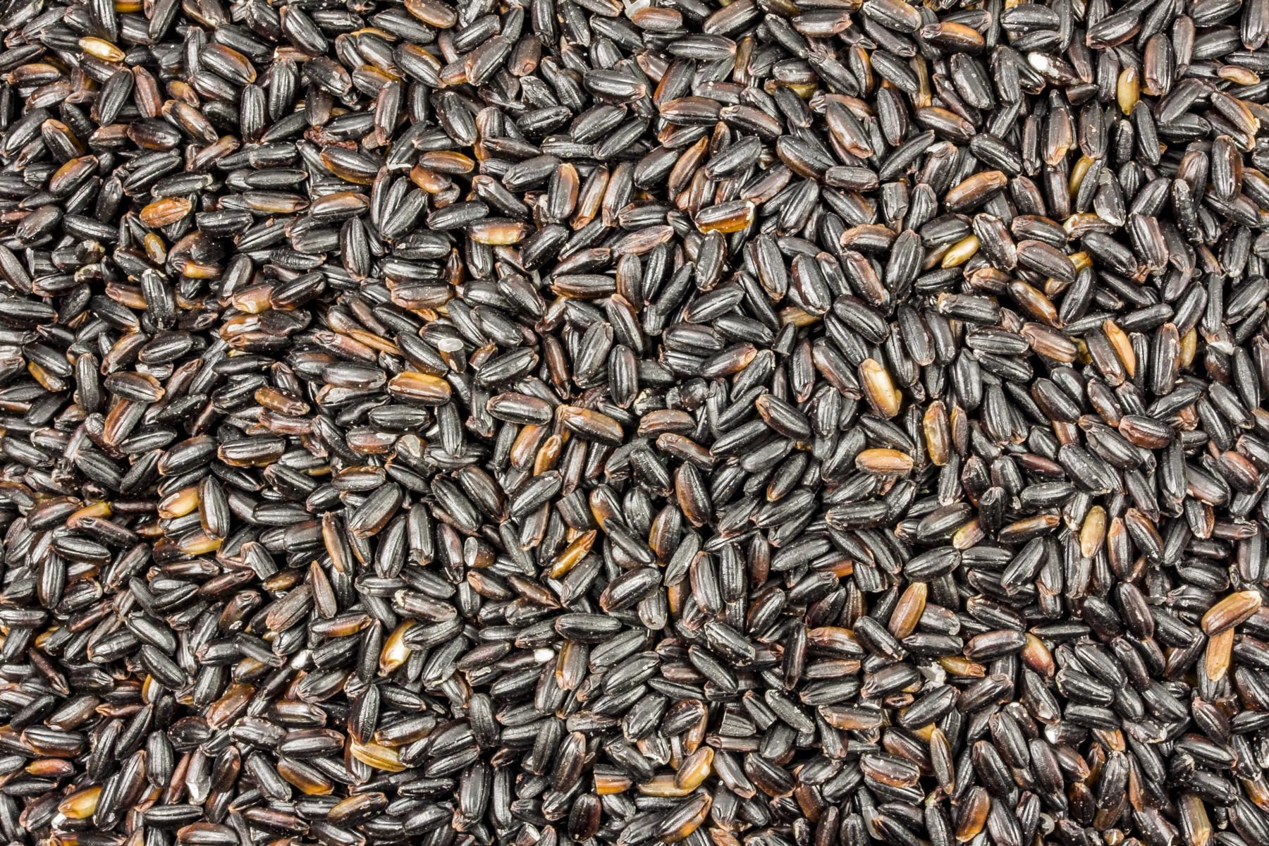 Riz long grain noir biologique 25kg