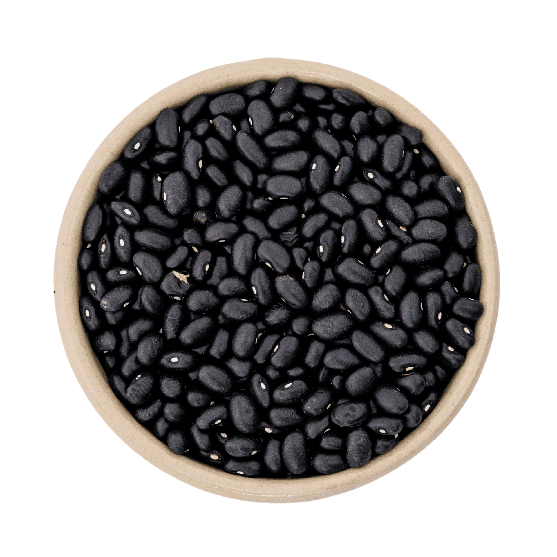 Haricots noirs bio (black turtle) 11.34kg