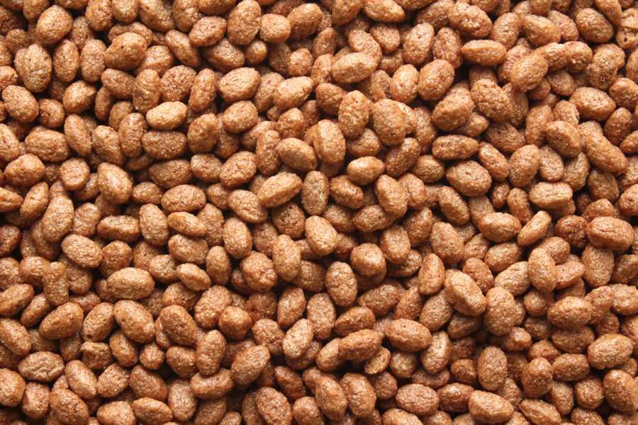 Crisps au chocolat Biologique 10kg