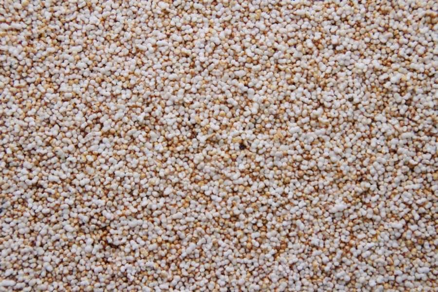 Amaranthe soufflé biologique 15kg