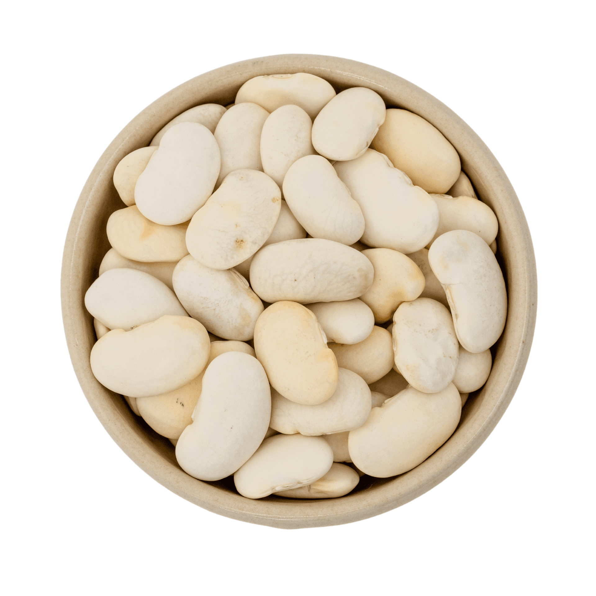 Haricots blancs géants bio 5kg