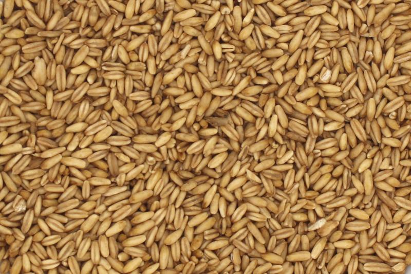 Flocons d'avoine biologique 25kg