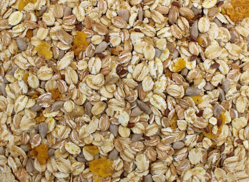 Müsli sans raisins secs biologique 25kg