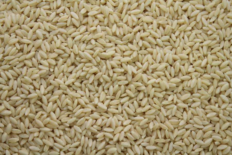 Pâtes Risoni en forme de riz biologiques 10kg