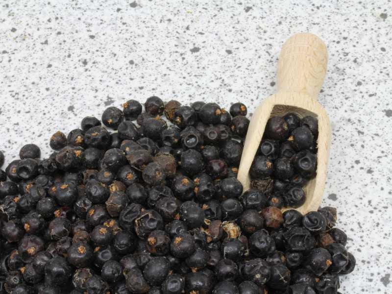 Organic juniper berries 19.70kg