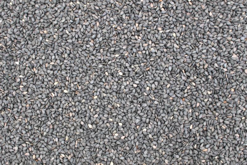 Graines de sésame noires biologiques 6x250g