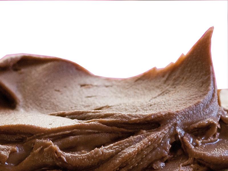 Crème de noisette Samba bio 8kg