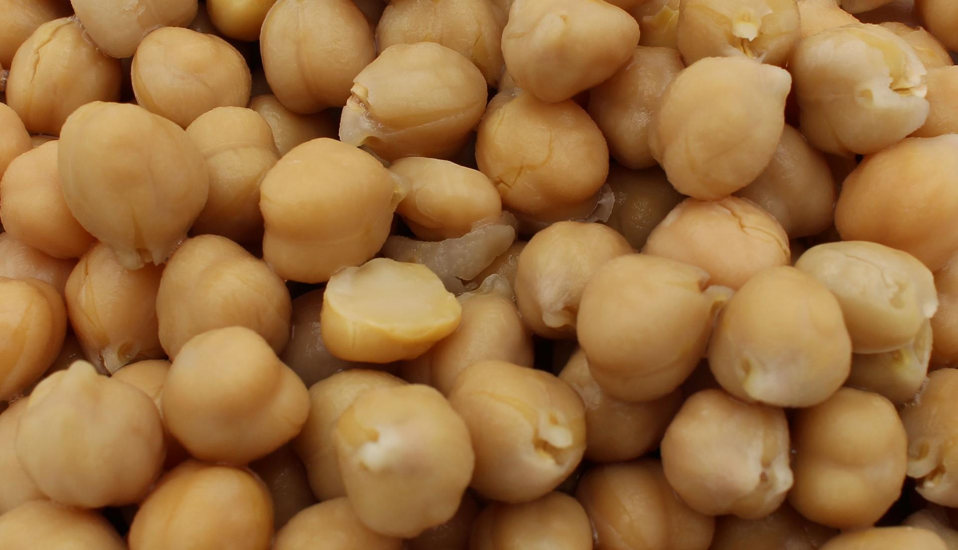 Pois chiches biologiques Marschland Poids net: 2,6kg, Poids égoutté 1,5kg