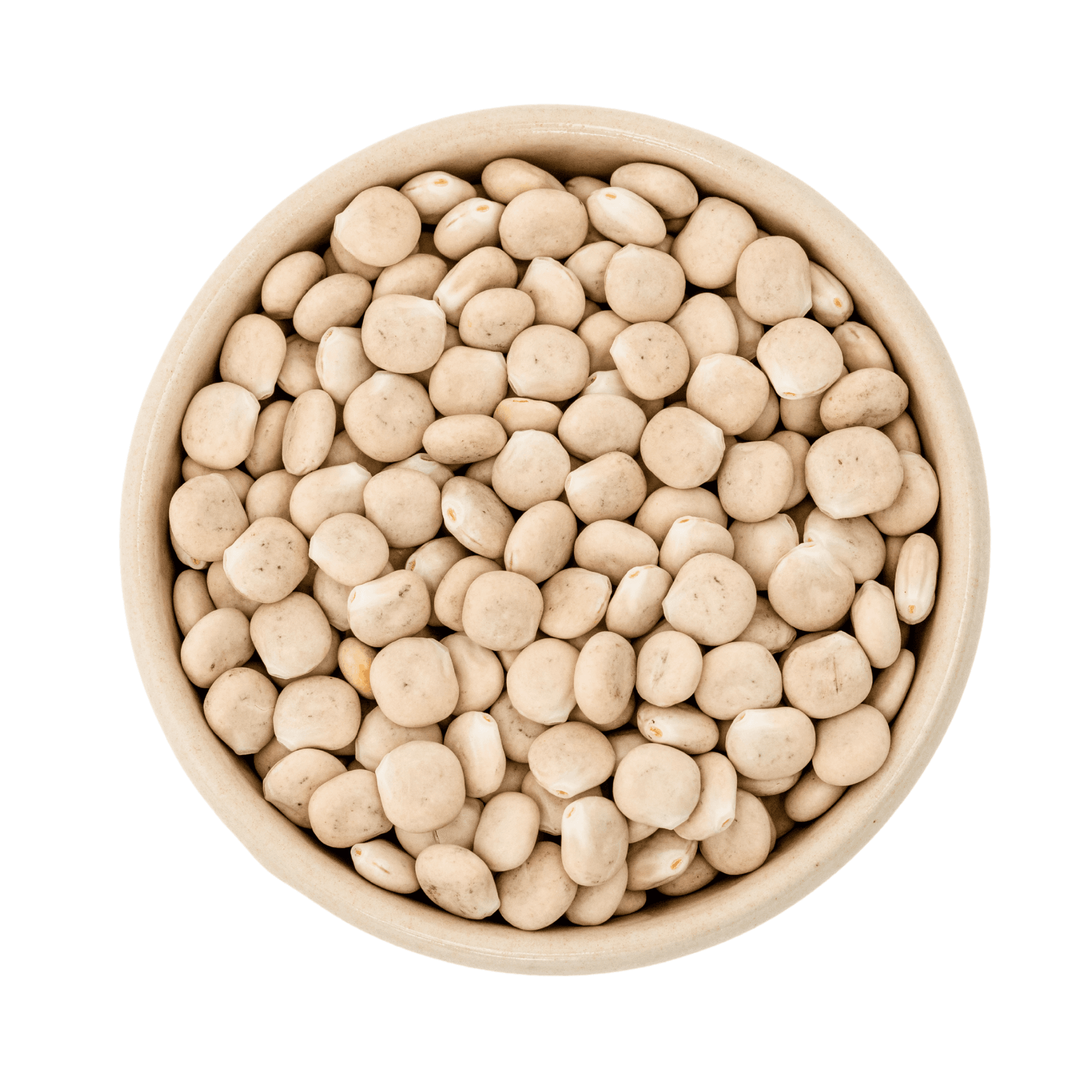 Lupins blancs entiers bio Allemagne 25kg