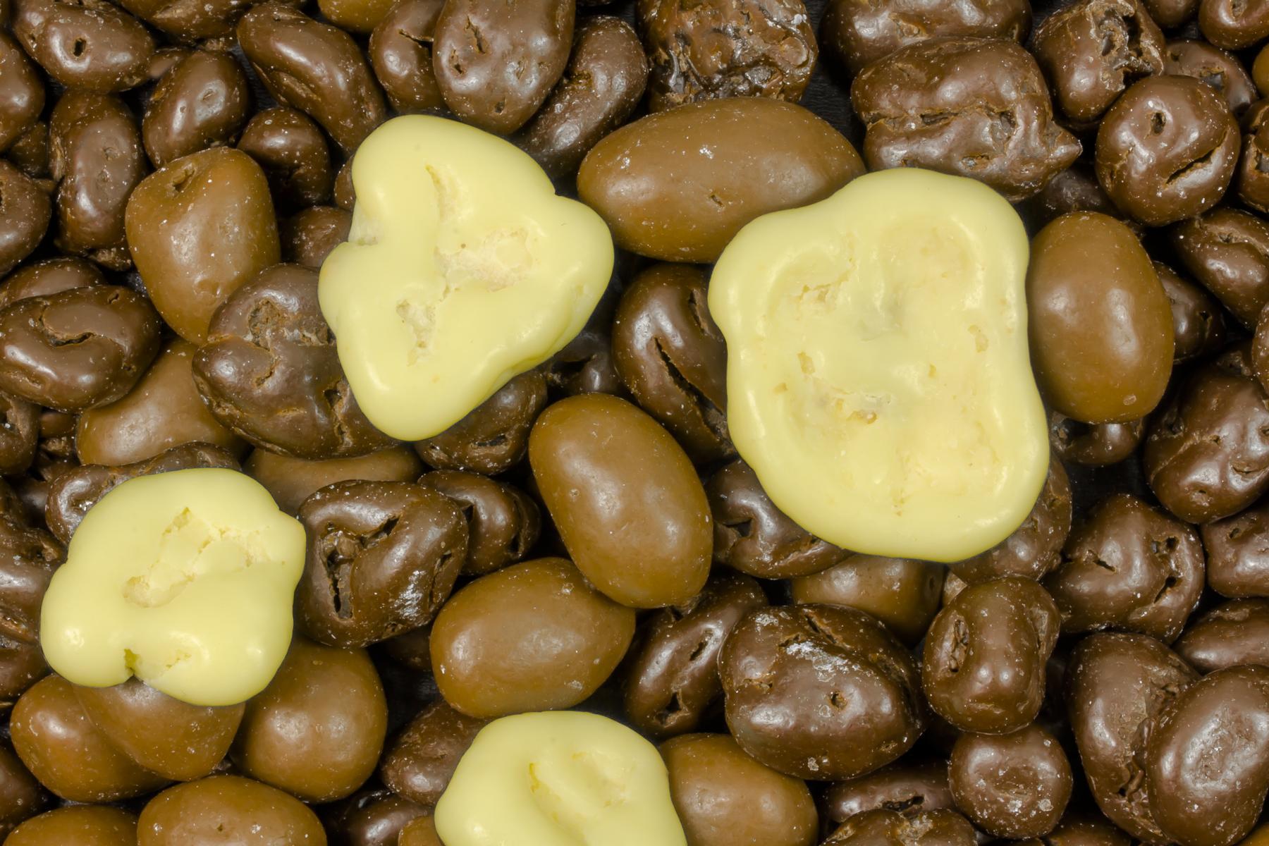 Mélange de fruits et de noix enrobés de chocolat bio 5kg