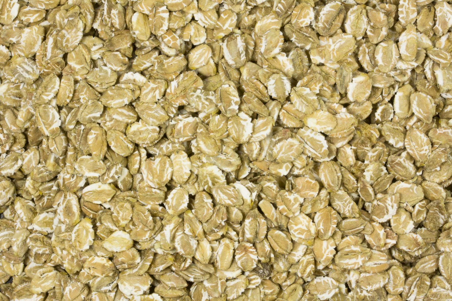 Flocons de seigle biologique 25kg