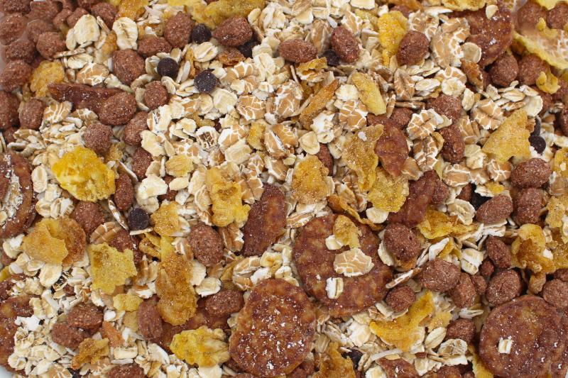 Muesli Chocolat Biologique 20kg
