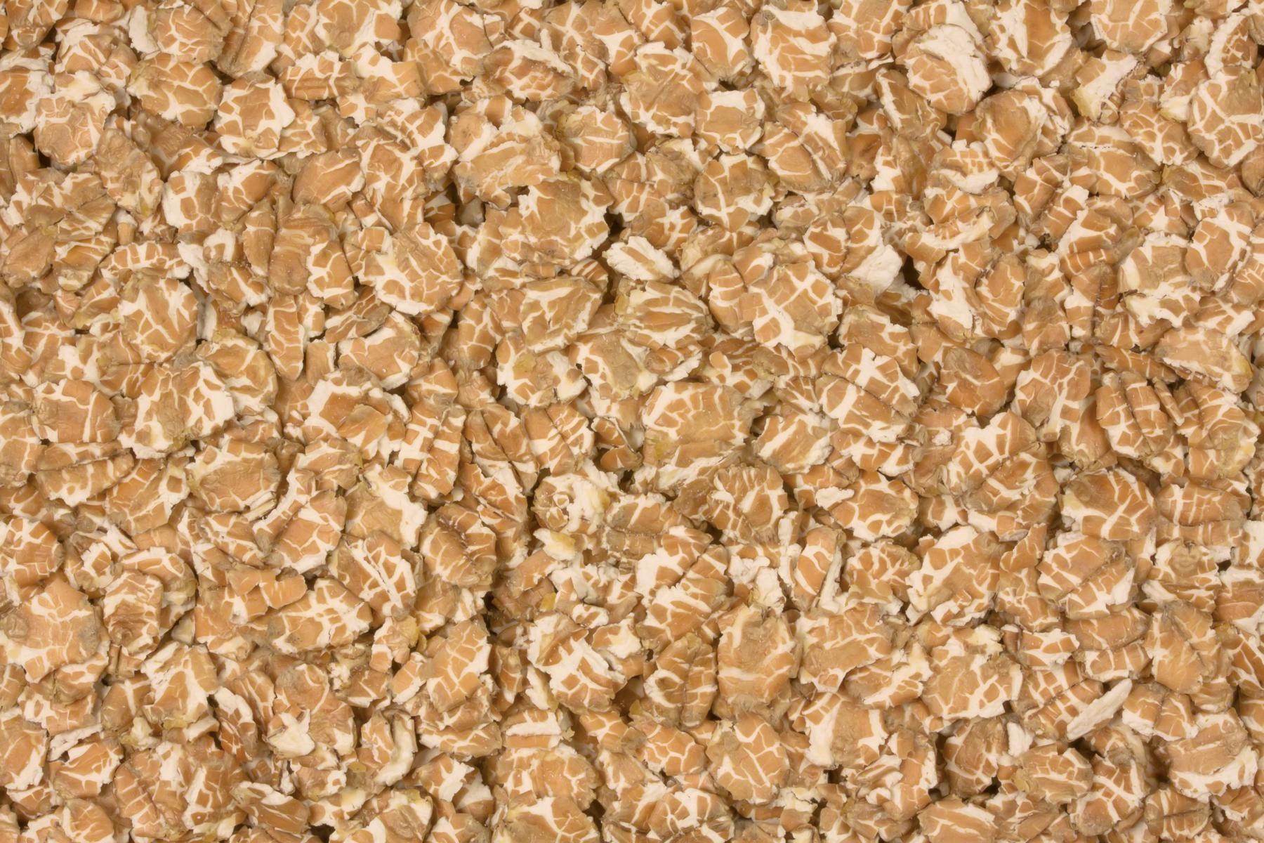 Flocons de blé biologique 25kg