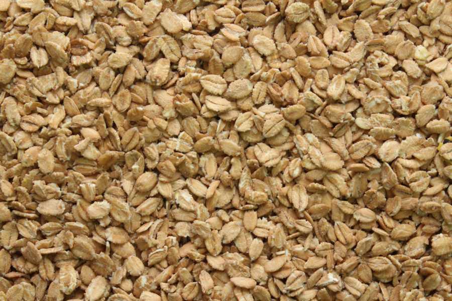 Crunchy d'épeautre biologique 25kg