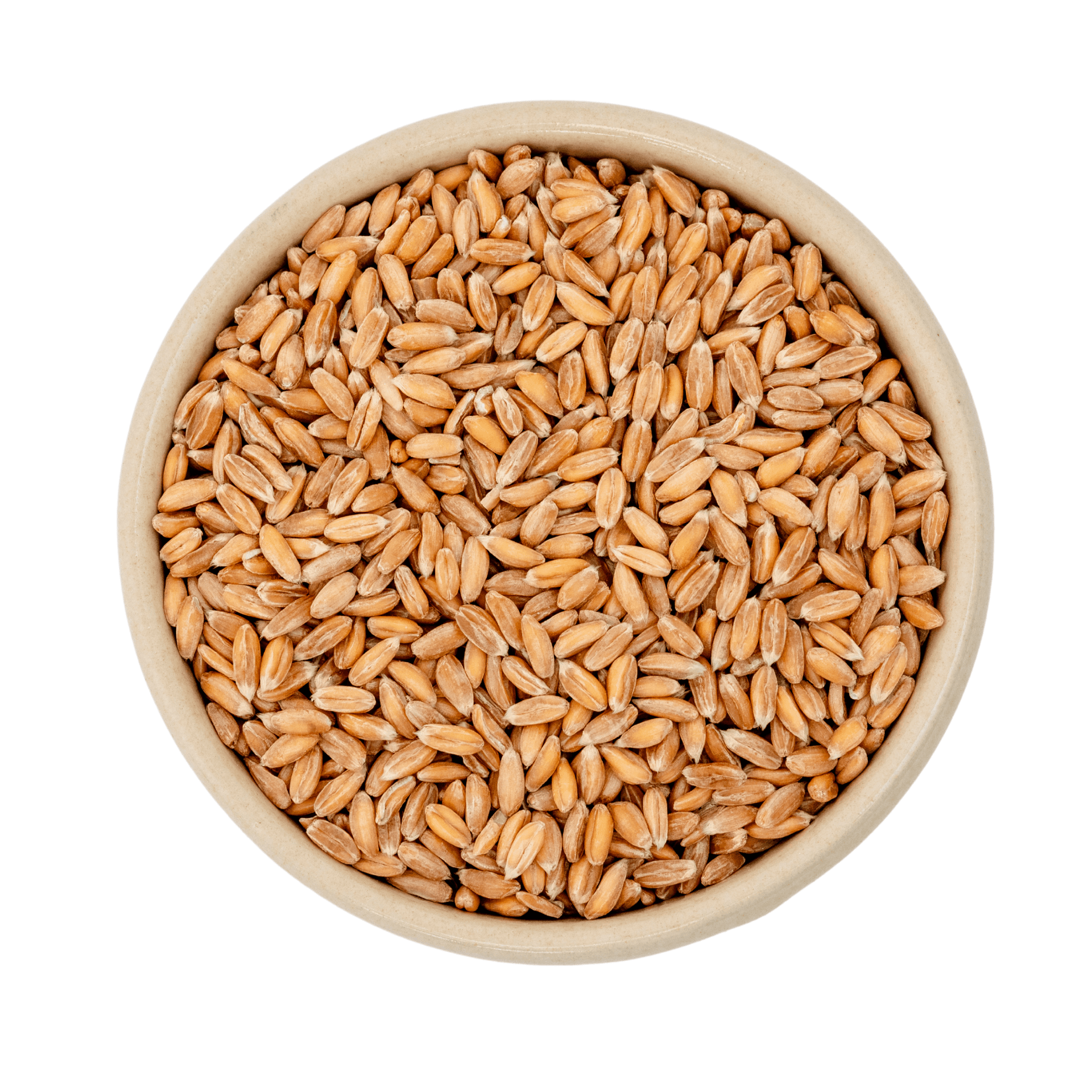 Épeautre bio 25kg
