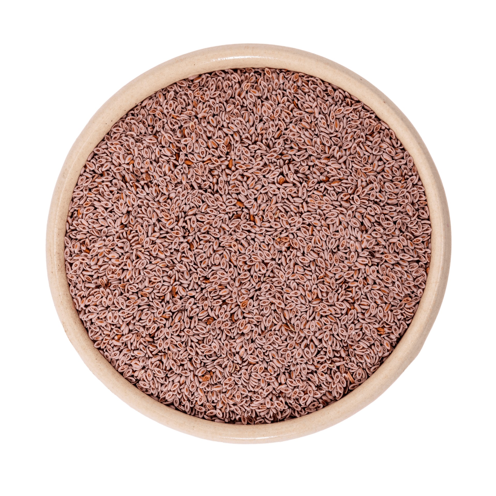 Graines de psyllium claires bio (Inde) 25kg