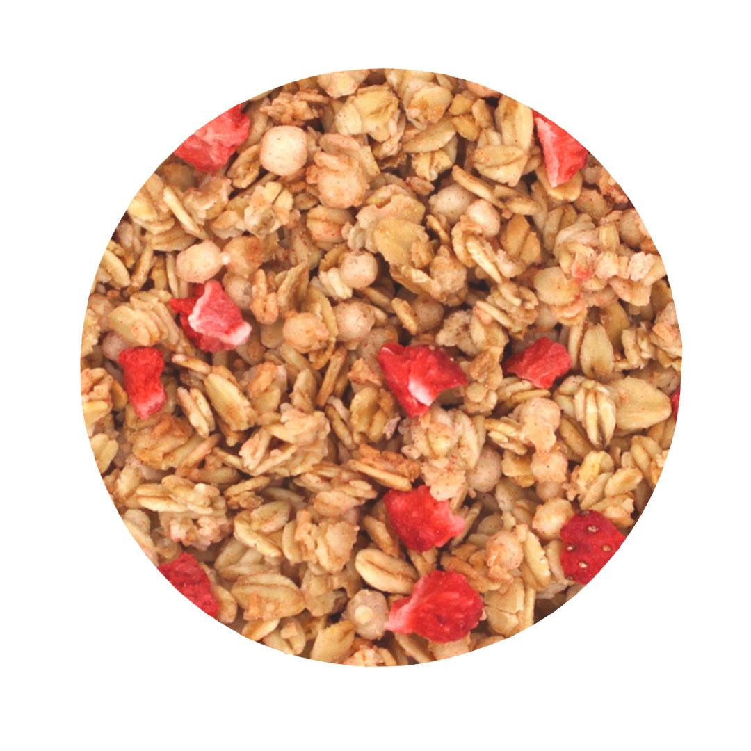 Crunchy Fraise (Avoine) Biologique 5kg