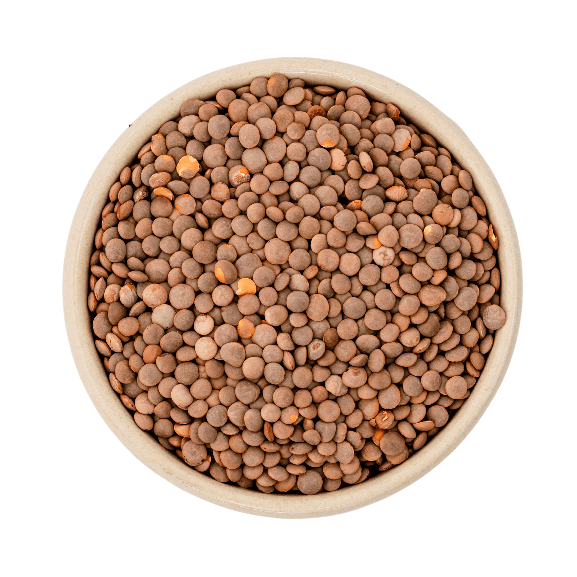Lentilles vertes du Puy bio (Gourmet) 25kg