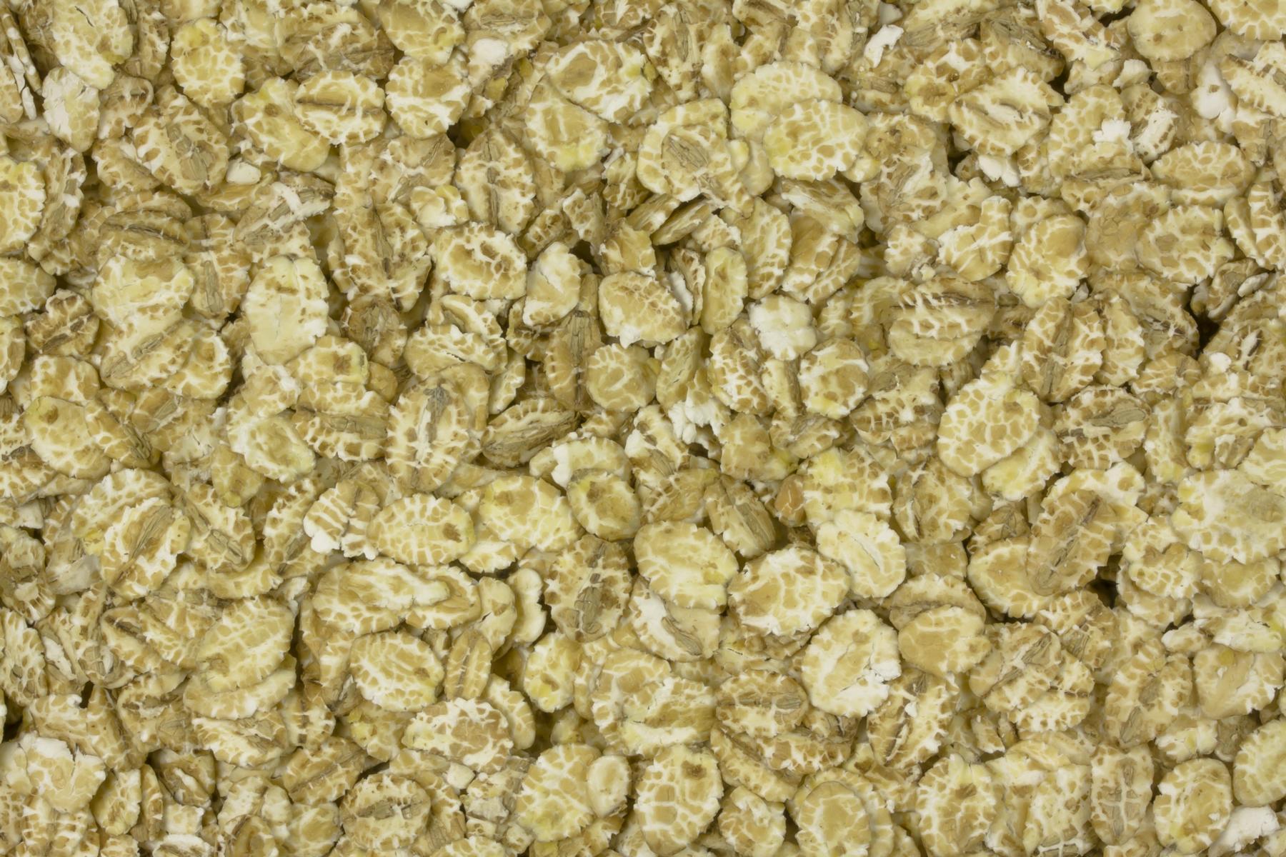Flocons d'orge biologique 25kg