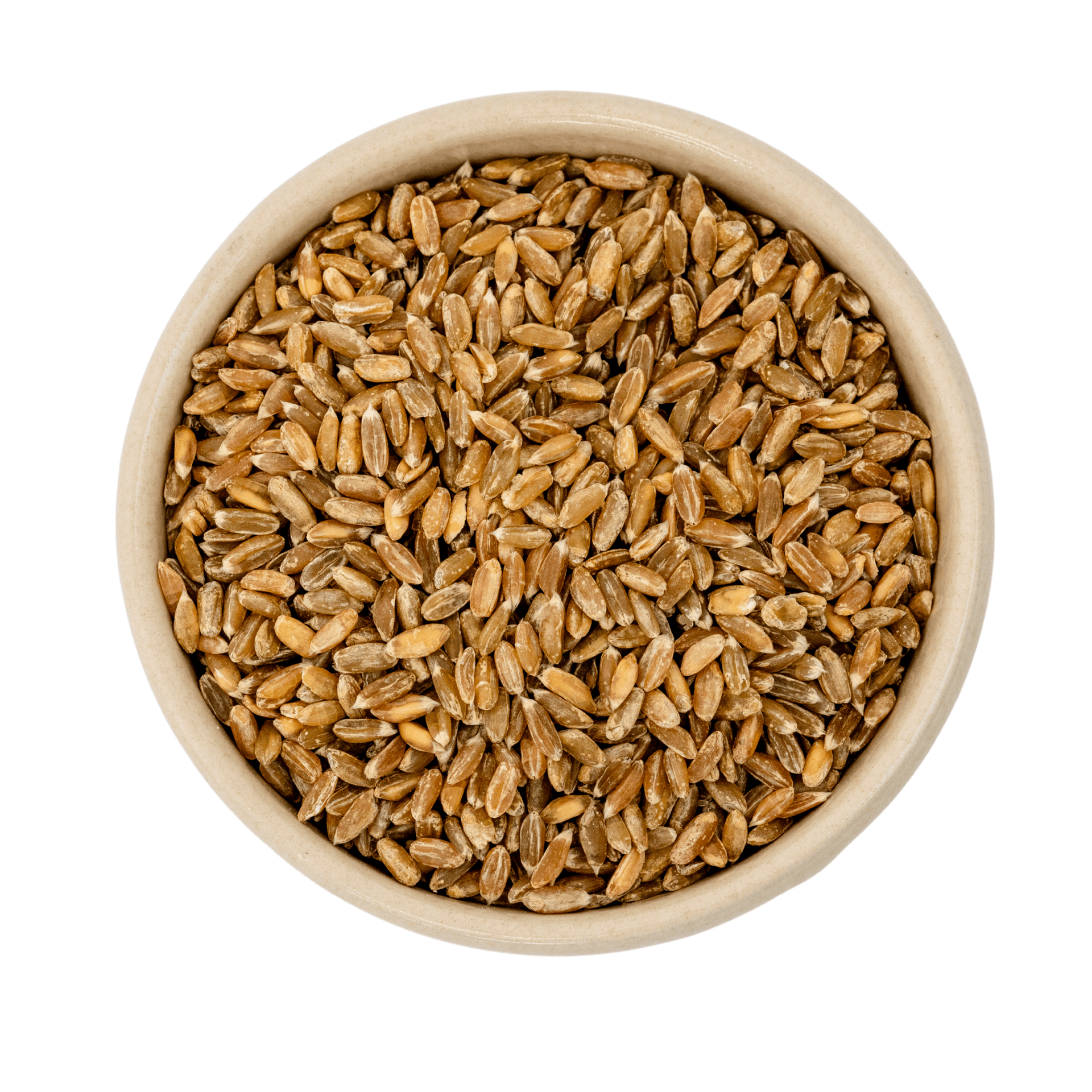 Épeautre vert bio 5kg