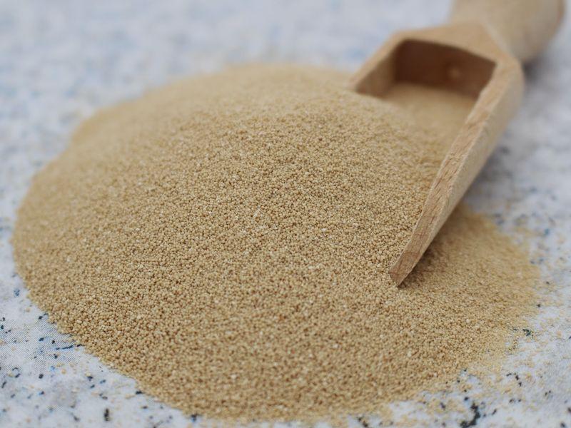 Levure "Maître Levure" sèche sans gluten bio 1x390g BioVegan